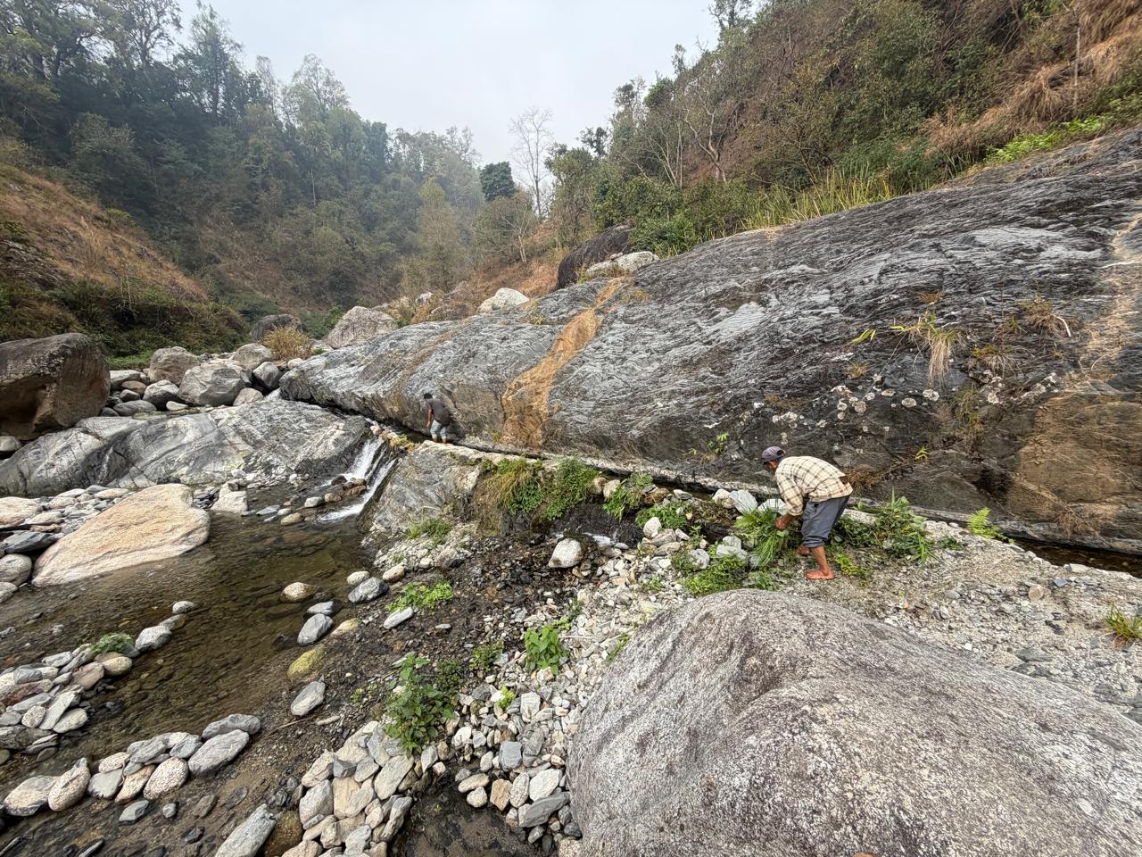 Stream and rocky terrain around the water-source area