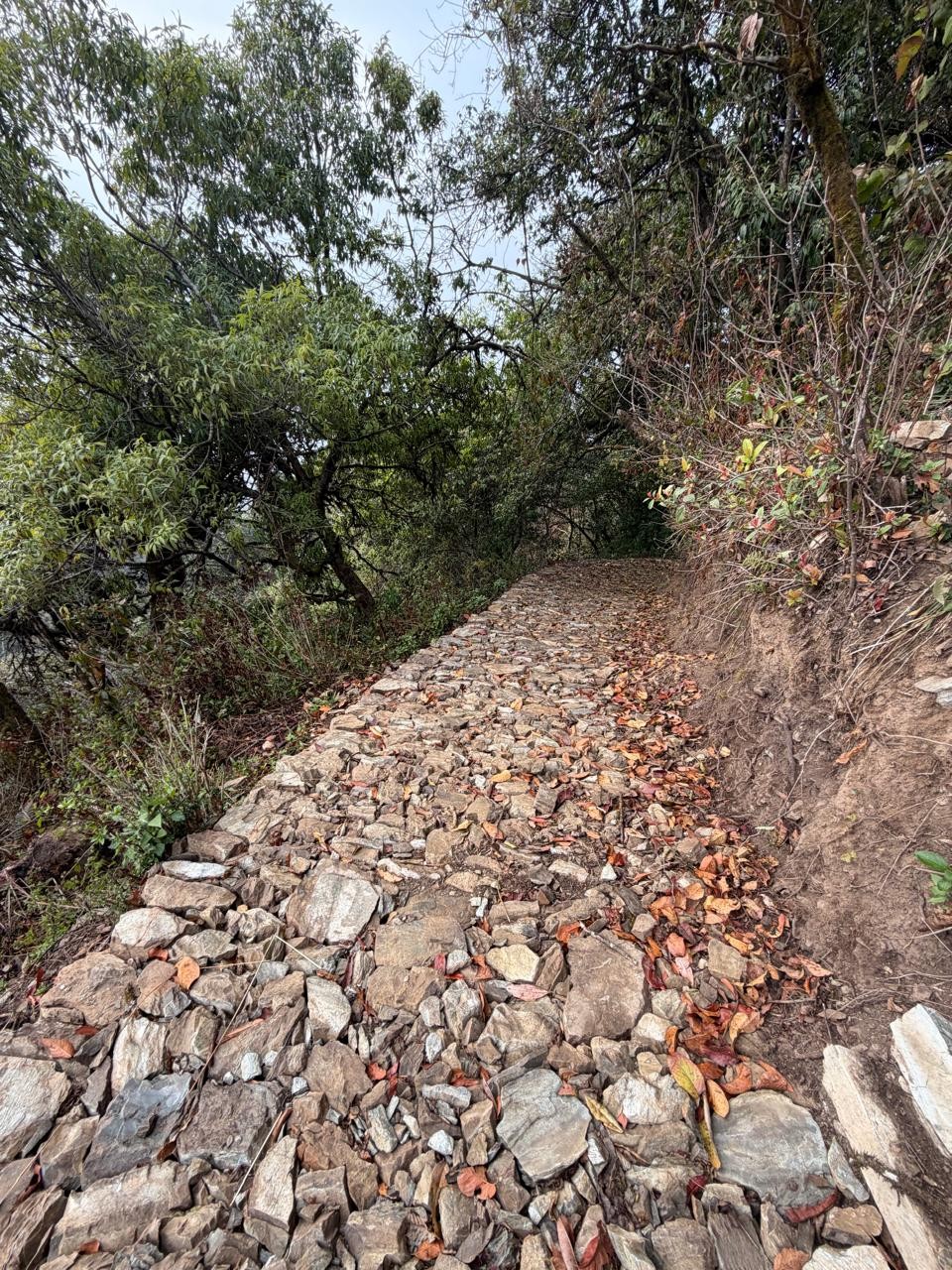 Stone soling and trail surface construction along a hillside