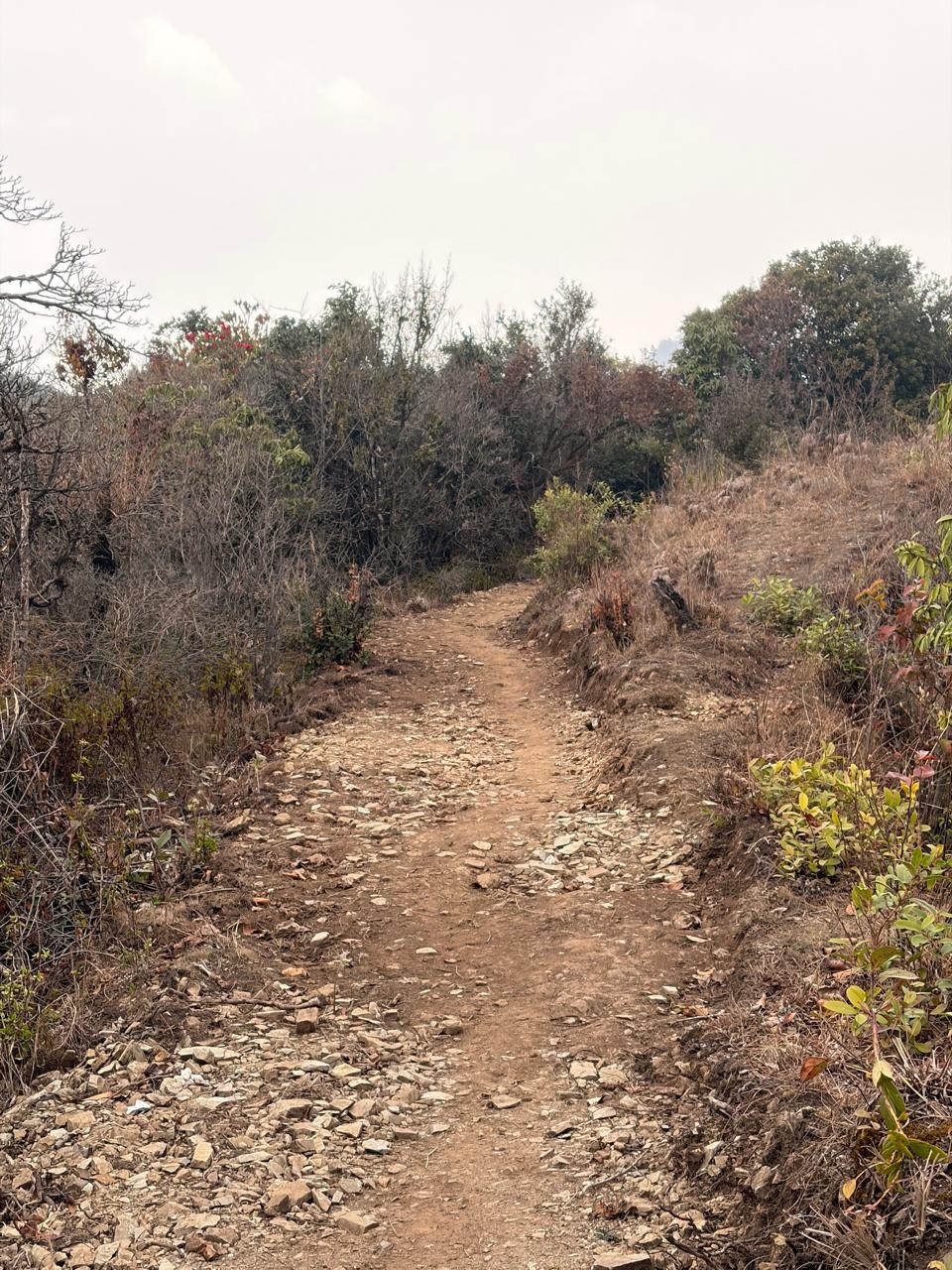 Existing trail alignment before improvement works